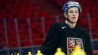 Tomáš Hertl v hale Globen ve Stockholmu.