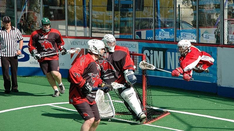Memoriál Aleše Hřebeského 2010, LCC Radotín–Bratislava Bats