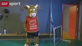 Kráva Cooly se stala atletkou