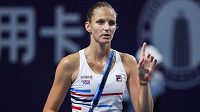 Karolína Plíšková předvedla parádní výkon Karolína Plíšková předvedla parádní výkon