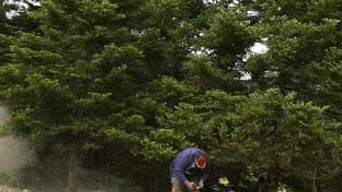Marcus Gronhölm s peugeotem na trati první etapy Rallye Akropolis.