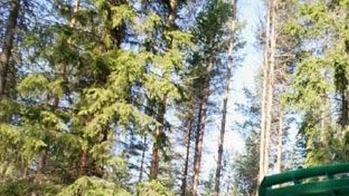 Fabia WRC při testování před letošní Finskou rallye.