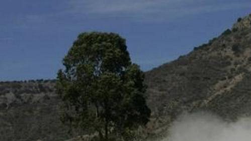 Gilles Panizzi s mitsubishi na trati Mexické rallye.