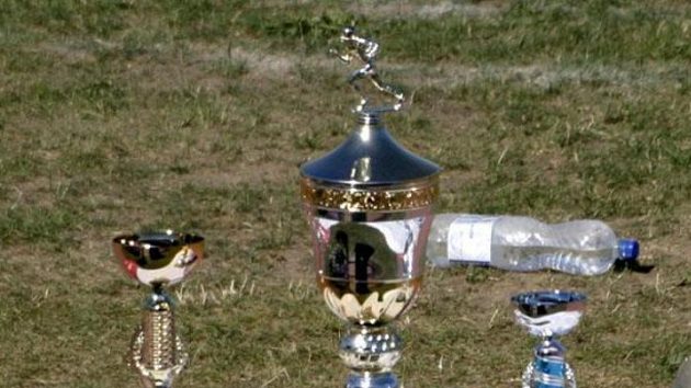 Poháry pro vítěze, poraženého a nejlepší hráče 13. finále Czech Bowlu