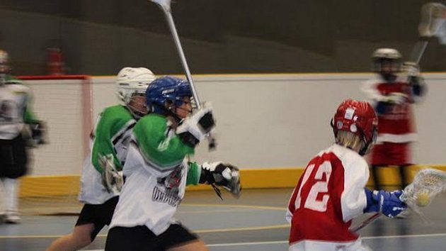 Juniorská lakrosová liga do 11 let
