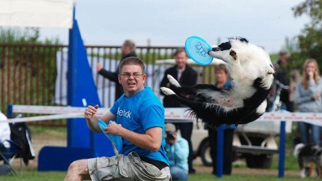 Jedná se o první akci svého druhu u nás, obvykle si jednotlivé frisbee sporty pořádají své závody a turnaje zvlášť.