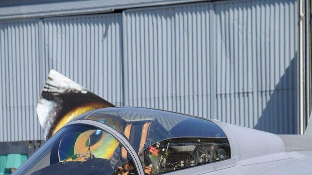 Desetibojař Roman Šebrle jako pilot bojového letounu JAS-39 Gripen.