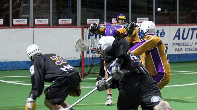 NBLL: Falcon Millionaires – ForFun