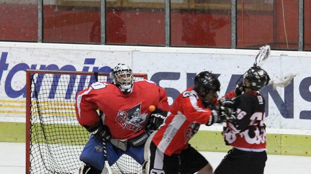 Finále NBLL 2010, LCC Radotín – SK Lacrosse Jižní Město