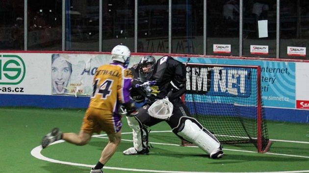 NBLL: Falcon Millionaires – ForFun