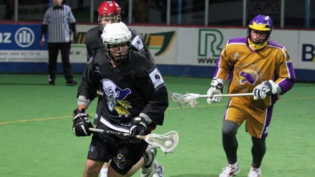 NBLL: Falcon Millionaires – ForFun
