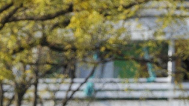 Fotbalisté české reprezentace si vyšli na procházku po černohorské Podgorici, kde se utkají v odvetě baráže o postup na mistrovství Evropy s Černou Horou. Na snímku Michal Kadlec (vlevo) a Tomáš Rosický.