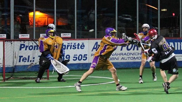 NBLL: Falcon Millionaires – ForFun