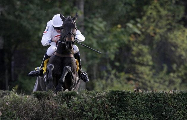 Vítěz 122. Velké pardubické Orphee des Blins s žokejem Janem Faltejskem skáče přes jednu z překážek.