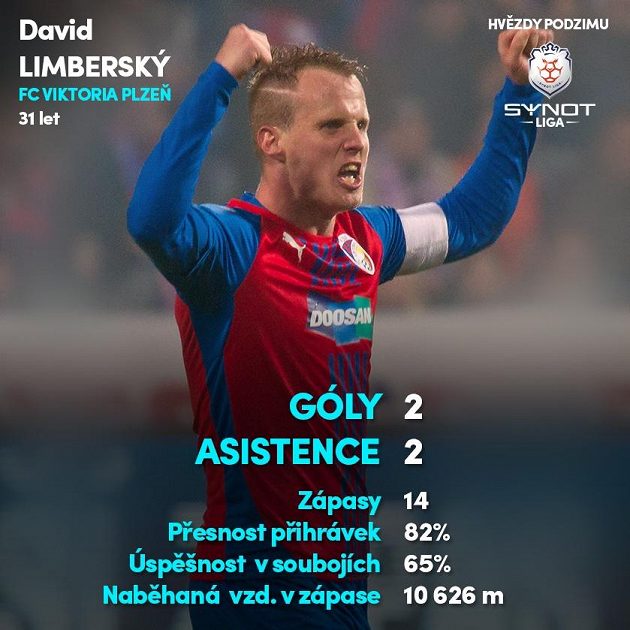 David Limberský patřil k podzimním tahounům Plzně...