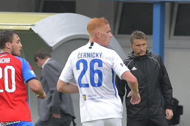 Liberecký záložník Radim Černický a plzeňský Pavel Bucha během utkání ve skupině o titul.