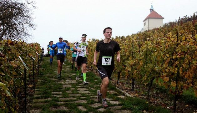 Pokud se na celou trasu necítíte, můžete zvolit variantu "štafeta". A nebo odbočit do vinotéky...