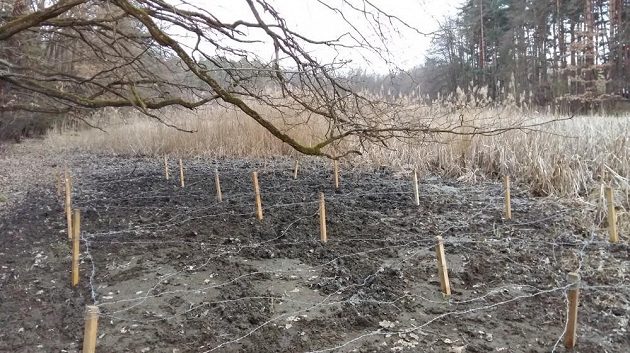 Malá ukázka z příprav - Army Run v Hluboké nad Vltavou.