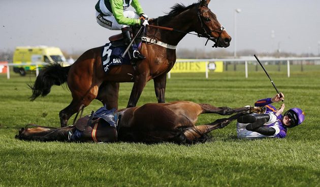 Ruby Walsh a Arctic Fire po drsném pádu. Pro oba to dopadlo báječně, odešli po svých.