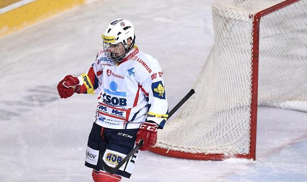 Pardubický útočník Michael Špaček oslavuje druhý gól svého týmu během utkání na Spartě.