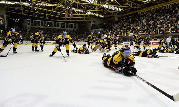 Hráči Litvínova se radují z vítězství, díky kterému se udrželi v extralize. Vpředu je Tomáš Matoušek.