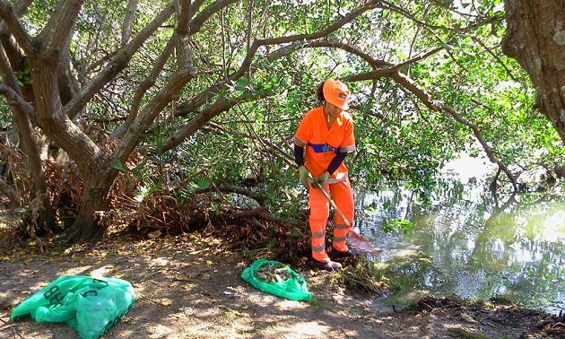 V padesátimetrových rozestupech uklízející pracovníci hygienické služby břehy jezera, kam voda vyplavuje další a další leklé ryby.