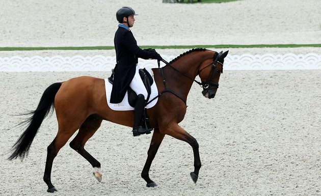 Český jezdec Miloslav Příhoda vede koně Ferreoluseho v olympijské soutěži ve všestrannosti