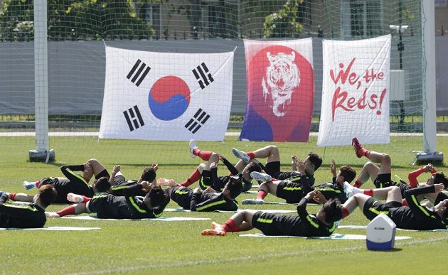 Trenér korejské reprezentace Šin Te-Jong přiznal, že v přípravných zápasech před MS jeho svěřenci záměrně měnili čísla na dresech, aby ztížili práci skautům soupeřů. Pro Evropany je rozeznávání Asiatů podle kouče složitější.