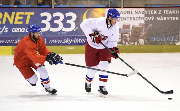 Útočníci Michal Vondrka (vlevo) a Jaromír Jágr na úterním tréninku hokejové reprezentace v pražských Letňanech.