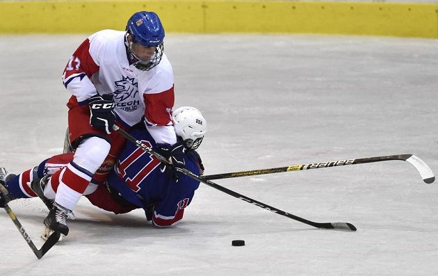 Stanislav Svozil z České republiky a Mark Estapa z USA během Hlinka Gretzky Cup hokejistů do 18 let.