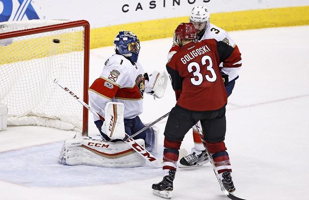 Střela Tobiase Riedera (není na snímku) rozhoduje utkání NHL mezi Arizonou a Floridou.