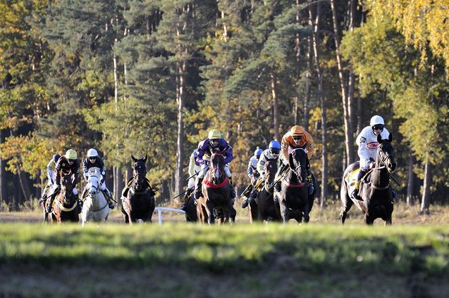 123. ročník Velké pardubické v plném proudu. Vpravo pozdější vítězka Orphee des Blins s žokejem Janem Faltejskem.