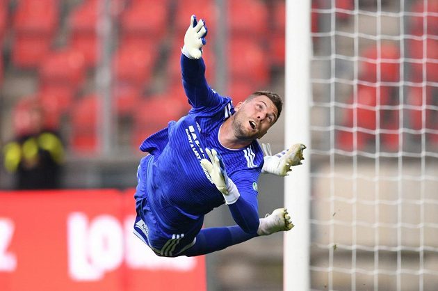 Gólman Bohemians Tomáš Fryšták se po ráně slávisty Hušbauera natahoval marně.