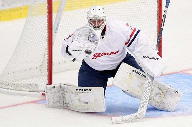 Brankář Slovanu Bratislava Vladislav Habal od hokejistů Pardubic v přípravě gól nedostal.