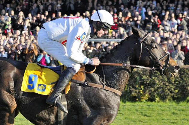 Jedenáctiletá klisna Orphee des Blins s žokejem Janem Faltejskem suverénně obhájila loňský triumf Velké pardubické.