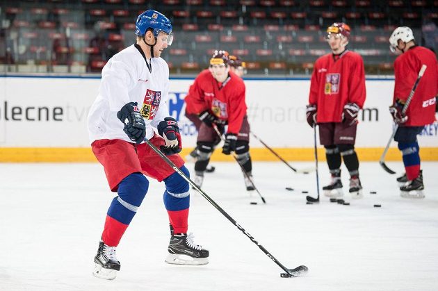 Ondřej Vitásek během tréninku hokejové reprezentace v rámci přípravy na ZOH 2018 v Pchjongčchangu.