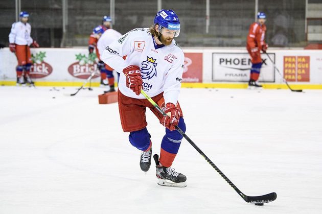 David Musil během tréninku hokejové reprezentace před turnajem Beijer Hockey Games.
