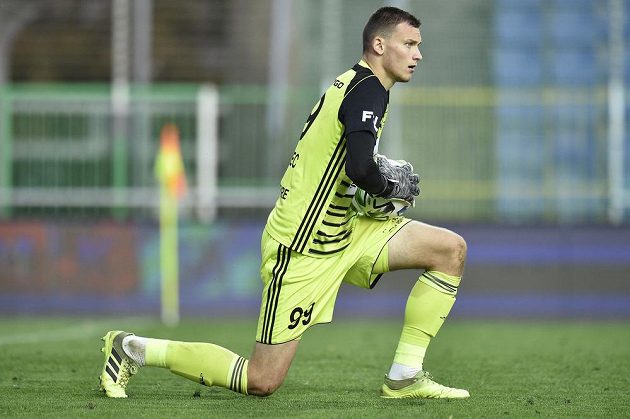 Goalkeeper of Mladá Boleslav football Petr Mikulec.