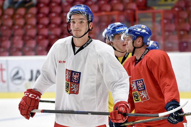 Marek Růžička na prvním tréninku v rámci letního přípravného kempu české hokejové reprezentace v Jihlavě.