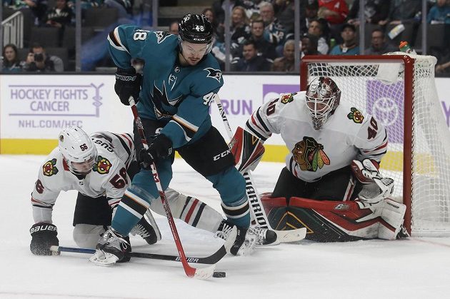 Útočník týmu San Jose Sharks Tomáš Hertl (48) se pokouší o zakončení v utkání s Chicagem Blackhawks.
