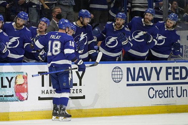 Český hokejový útočník Ondřej Palát oslavuje u střídačky gól, který vstřelil do sítě New York Islanders v semifinále NHL.