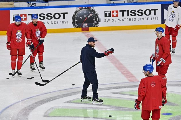 Training of the Czech national hockey team Filip Pešán.