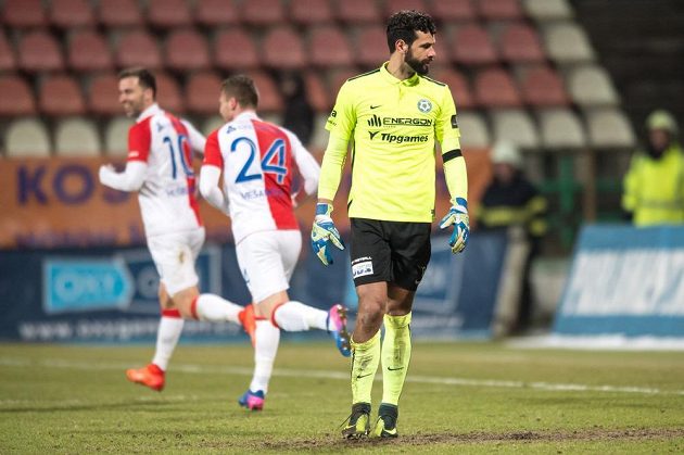 Příbramský brankář Aleš Hruška po třetím inkasovaném gólu v zápase proti Slavii.