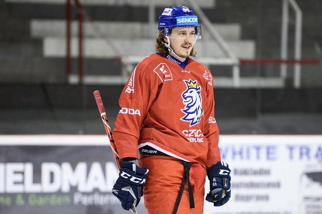 Libor Šulák během tréninku hokejové reprezentace před turnajem Beijer Hockey Games.