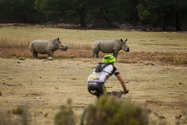 Cape Epic 2015.