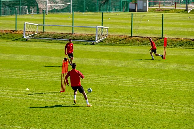 Fotbalisté Slavie při prvním tréninku v osmičlenných skupinách.