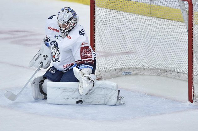 Brankář hokejového Liberce Dominik Hrachovina.