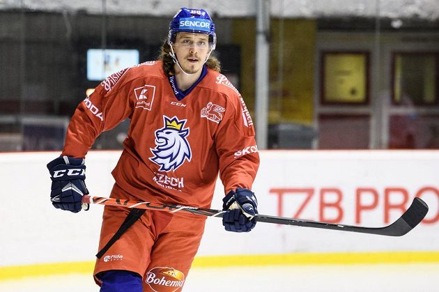 Libor Šulák během tréninku hokejové reprezentace před turnajem Beijer Hockey Games.