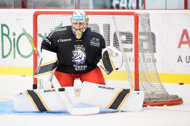 Brankář Daniel Vladař během tréninku v rámci letního kempu hokejové reprezentace
