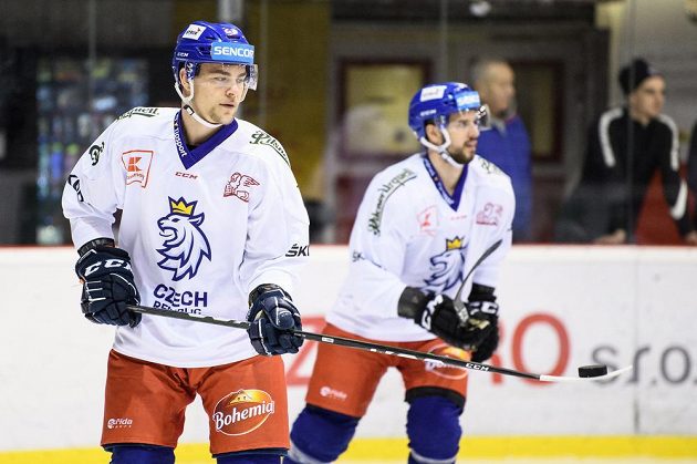 Radan Lenc během tréninku hokejové reprezentace před turnajem Beijer Hockey Games.
